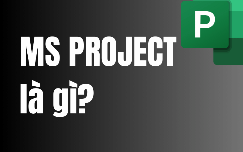 hoc-ms-projct-ms-project-la-gi